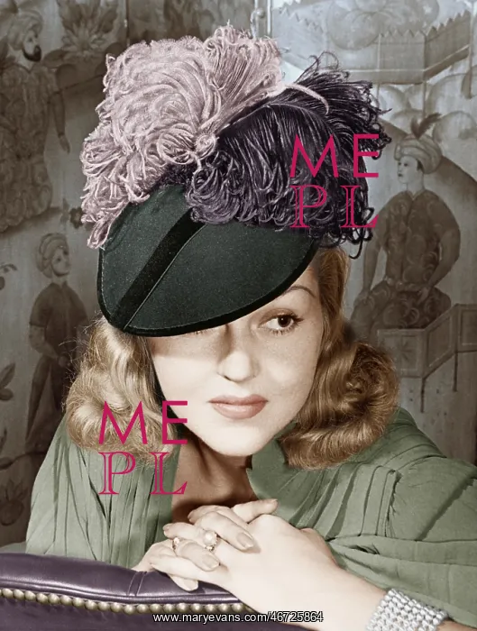 : Portrait of a woman with a feathered hat : Portrait of a woman with a feathered hat