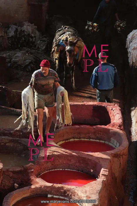: Fez. Portrait of worker on the way to the dyeing pits : Fez. Portrait of worker on the way to the dyeing pits
