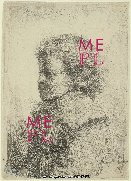 : Portrait of a young boy : Portrait of a young boy