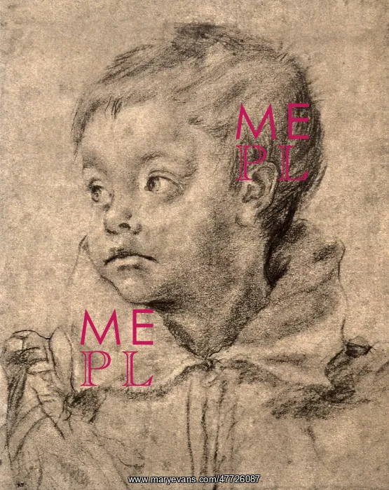  : Portrait of a Young Boy, by Carracci