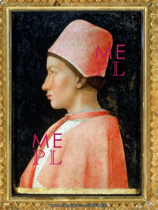 : Portrait of a young Francesco : Portrait of a young Francesco