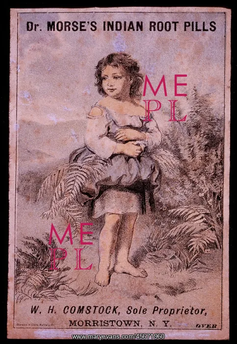 : Portrait of a Young Girl : Portrait of a Young Girl