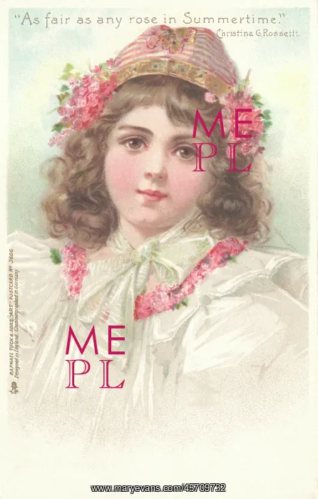 : Portrait of a Young Girl : Portrait of a Young Girl