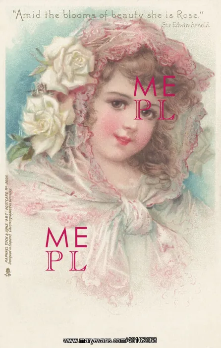 : Portrait of a Young Girl : Portrait of a Young Girl