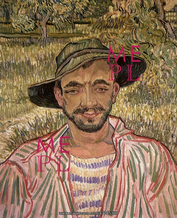 : Portrait of a Young Peasant, by Van Gogh : Portrait of a Young Peasant, by Van Gogh