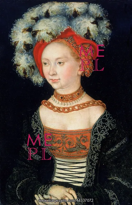 : Portrait of a Young Woman : Portrait of a Young Woman