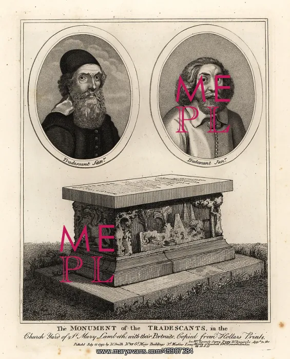 : Portraits and grave monument of the Tradescants : Portraits and grave monument of the Tradescants
