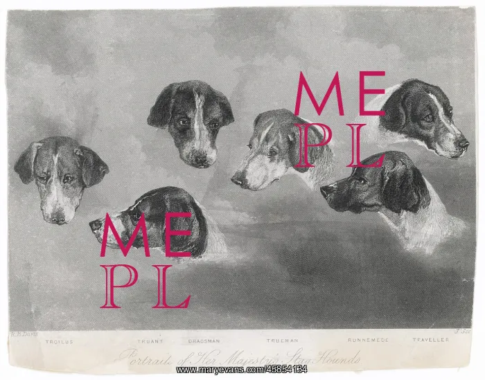 : PORTRAITS OF ROYAL DOGS : PORTRAITS OF ROYAL DOGS