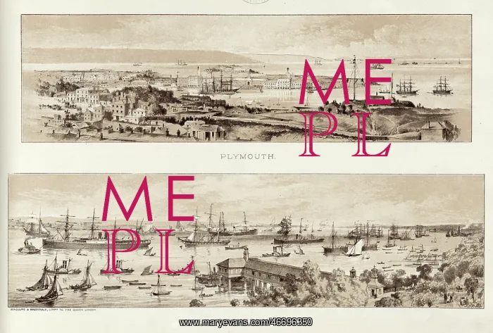 : The ports of Plymouth and Gravesend : The ports of Plymouth and Gravesend
