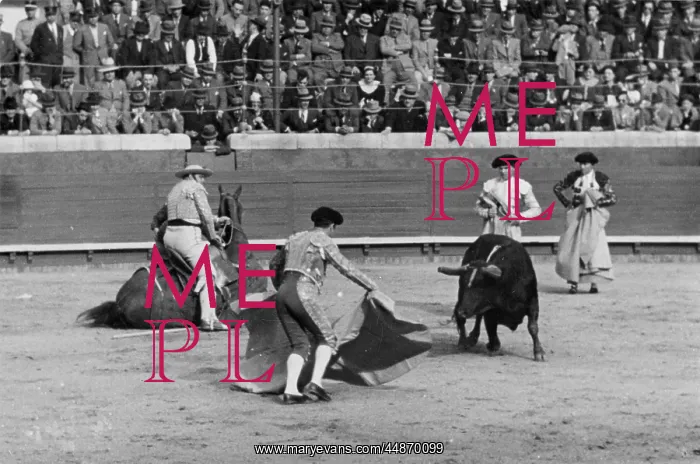 : PORTUGUESE BULLFIGHT : PORTUGUESE BULLFIGHT
