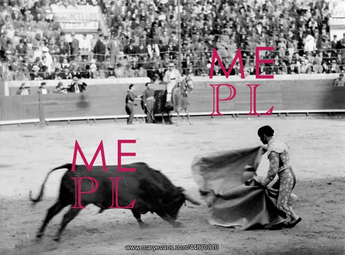: PORTUGUESE BULLFIGHT : PORTUGUESE BULLFIGHT
