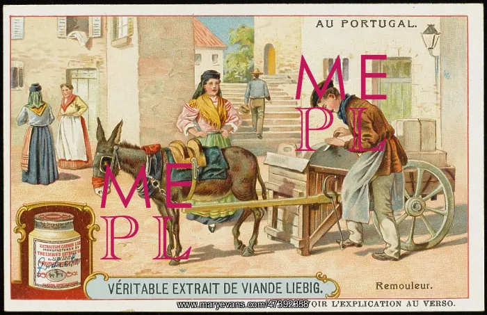 : Portuguese Knife Grinder : Portuguese Knife Grinder