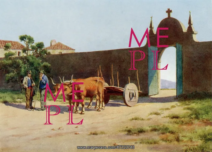 : Portuguese Ox-Cart : Portuguese Ox-Cart