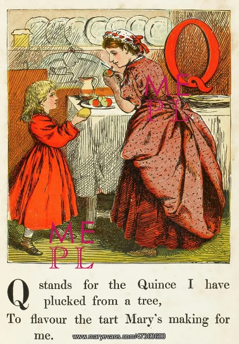  : PORTUGUESE QUINCE