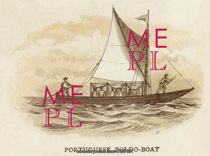 : Portuguese Toldo-Boat : Portuguese Toldo-Boat