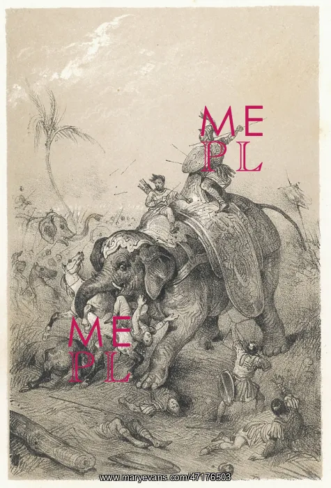 : PORUS'S WAR ELEPHANTS : PORUS'S WAR ELEPHANTS