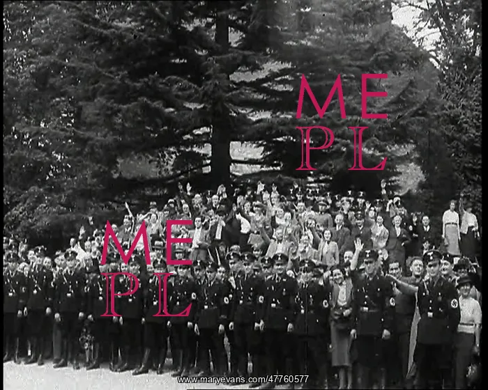 : A Posed Group of Male German Uniformed Officials : A Posed Group of Male German Uniformed Officials