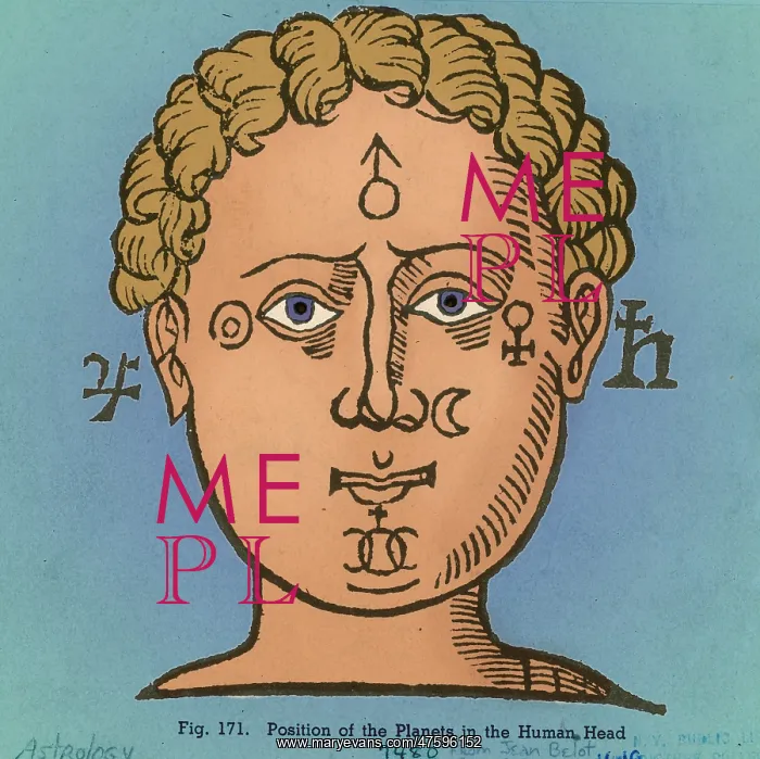 : Position of the planets in the human head : Position of the planets in the human head
