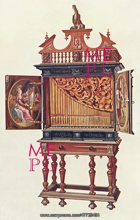  : Positive Organ
