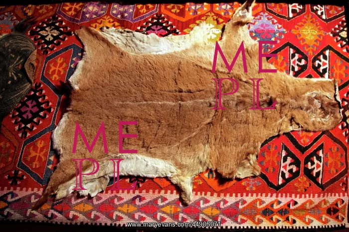 : Post from Bektashi Meydan : Post from Bektashi Meydan
