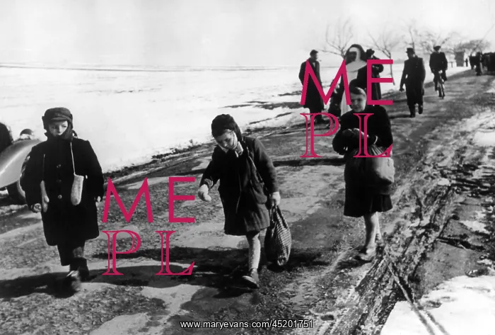 : Post-war era - arrival in Friedland of displaced persons fro : Post-war era - arrival in Friedland of displaced persons fro