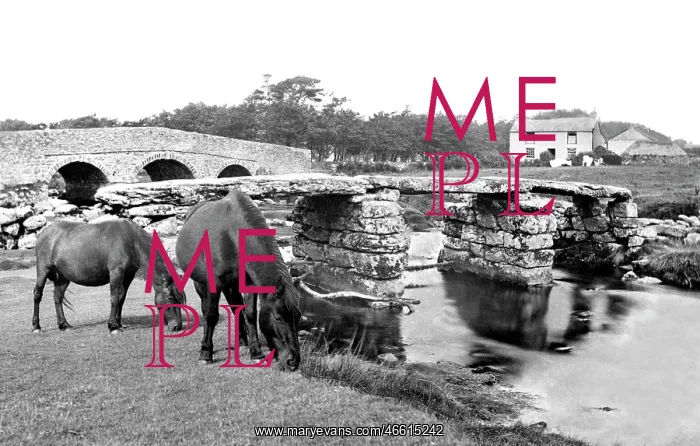  : Postbridge, Ponies at the Clapper Bridge c1960