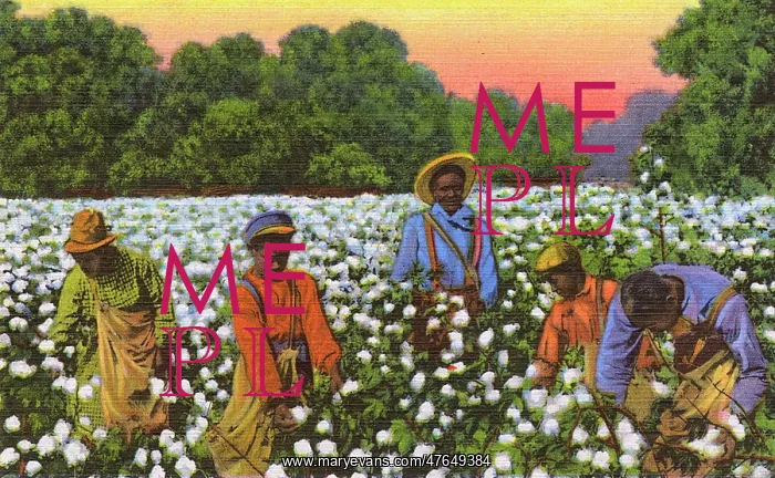 : Postcard booklet, workers in the cotton fields, USA : Postcard booklet, workers in the cotton fields, USA