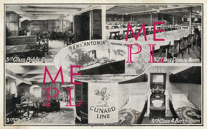 : Postcard of the RMS Antonia : Postcard of the RMS Antonia
