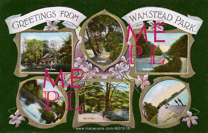 : Postcard of Wanstead Park : Postcard of Wanstead Park