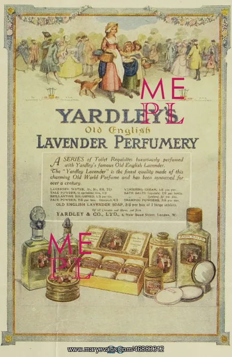  : Postcard - Yardleys Lavender Perfume