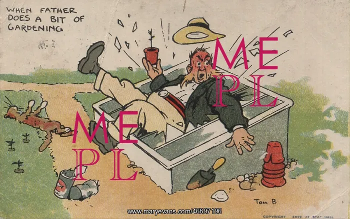 : Postcards - 1905, humorous, postcard, man, greenhouse : Postcards - 1905, humorous, postcard, man, greenhouse