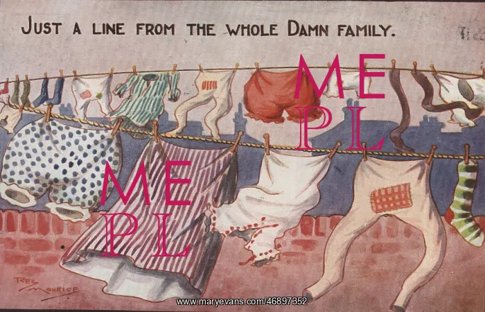 : Postcards - 1920, humorous, saucy, postcard : Postcards - 1920, humorous, saucy, postcard