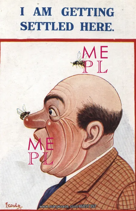 : Postcards - 1934, humorous, postcard, wasp : Postcards - 1934, humorous, postcard, wasp