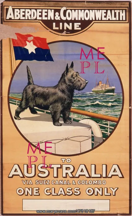 : Poster for Aberdeen & Commonwealth Line to Australia : Poster for Aberdeen & Commonwealth Line to Australia