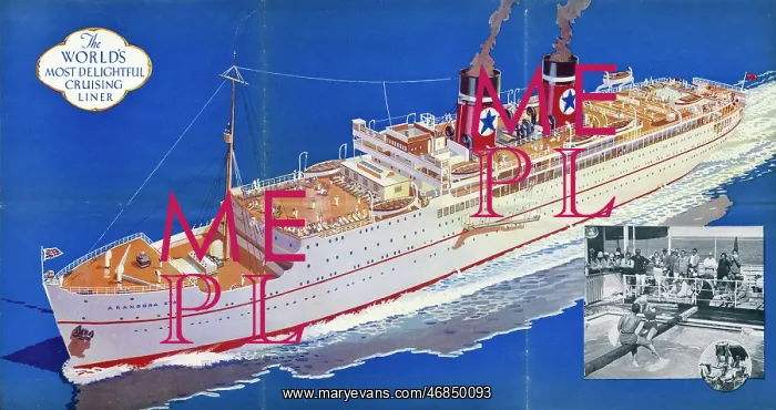 : Poster advertising the Blue Star Line : Poster advertising the Blue Star Line
