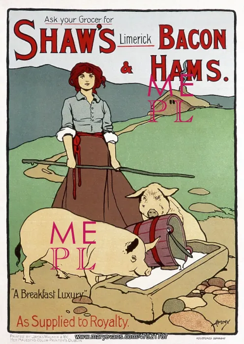 : Poster advertising Shaw's Bacon and Hams : Poster advertising Shaw's Bacon and Hams