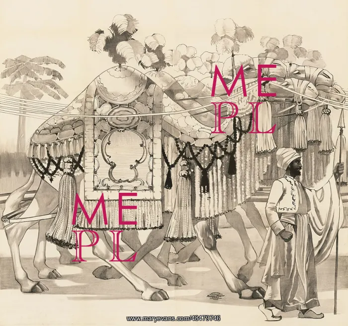 : Poster - camels walking dressed in costume : Poster - camels walking dressed in costume
