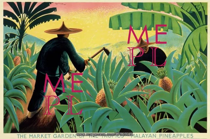 : Poster depicting Malayan pineapples : Poster depicting Malayan pineapples