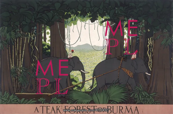 : Poster depicting a teak forest in Burma : Poster depicting a teak forest in Burma