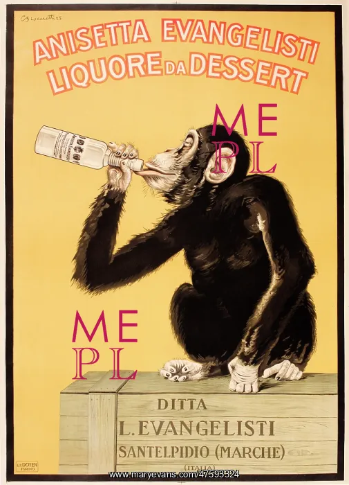 : Poster design, Anisetta Evangelisti : Poster design, Anisetta Evangelisti