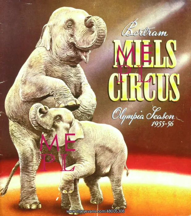 : Poster design for Bertram Mills Circus : Poster design for Bertram Mills Circus