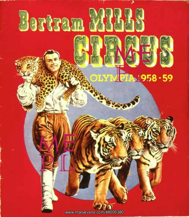 : Poster design for Bertram Mills Circus : Poster design for Bertram Mills Circus