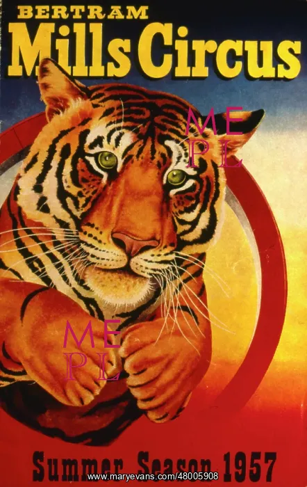 : Poster design for Bertram Mills Circus : Poster design for Bertram Mills Circus