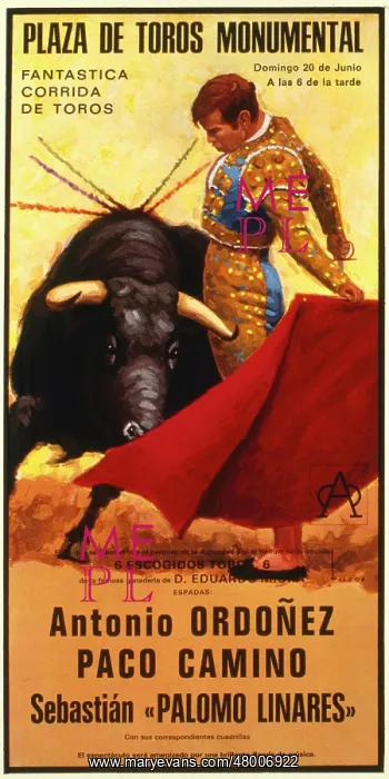 : Poster design for a bullfight : Poster design for a bullfight