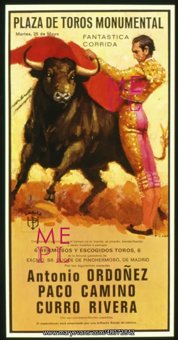 : Poster design for a bullfight : Poster design for a bullfight