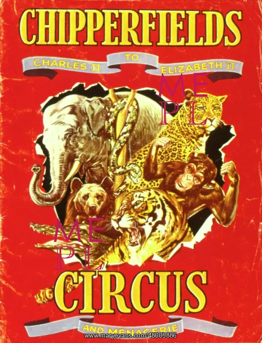 : Poster design for Chipperfields Circus : Poster design for Chipperfields Circus