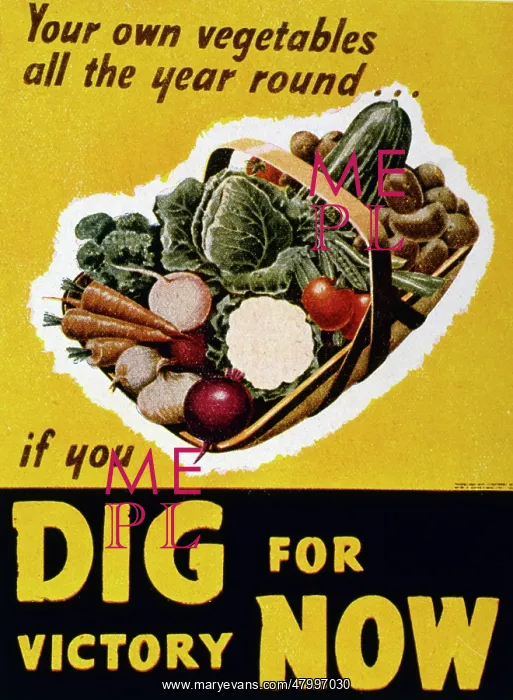 : Poster design, Dig For Victory Now : Poster design, Dig For Victory Now