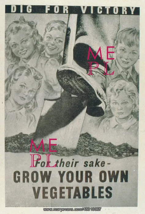: Poster design, Dig For Victory : Poster design, Dig For Victory