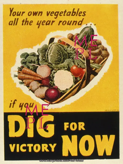  : Poster design, Dig For Victory Now