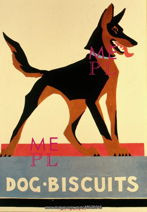  : Poster design for dog biscuits
